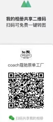 coachޢԭר΢ά